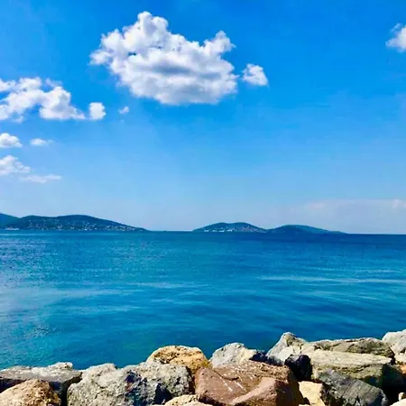 Dragous Sea-breeze *